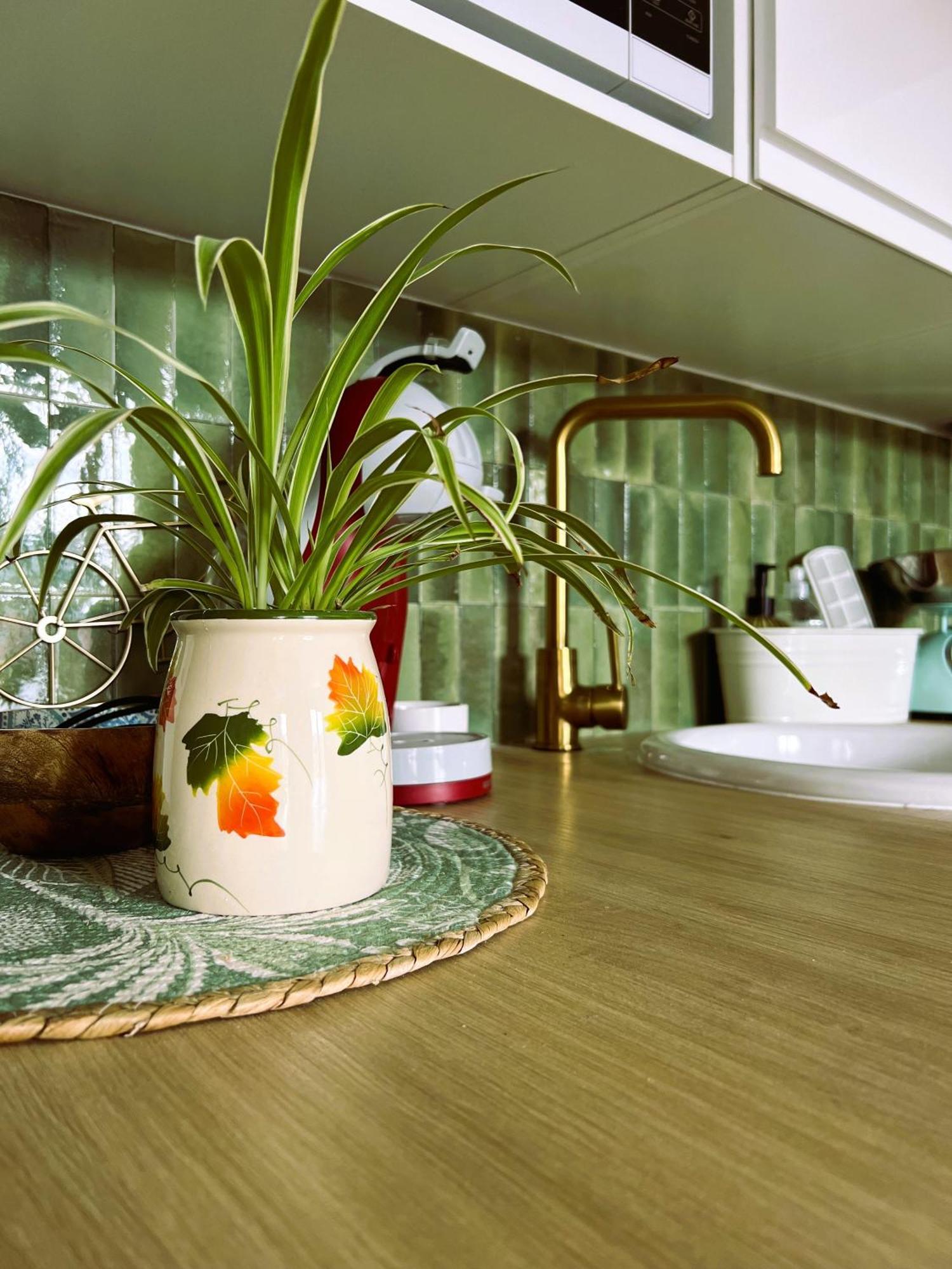 Appartement Nid Douillet Mers-les-Bains Extérieur photo