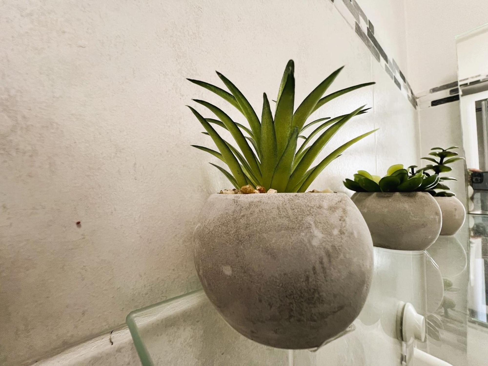Appartement Nid Douillet Mers-les-Bains Extérieur photo